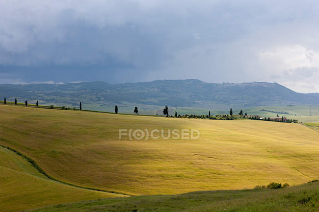Paesaggio rurale della Val dOrcia — Foto stock
