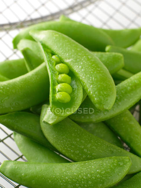 Fresh Pea pods with water drops — Stock Photo
