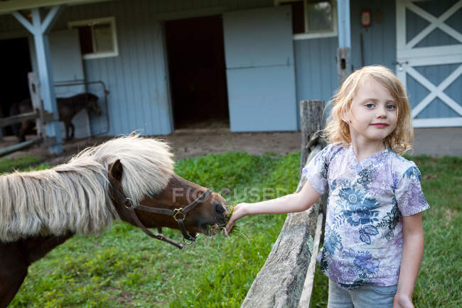 Kleines Mädchen füttert ein Pony im Freien — Stockfoto
