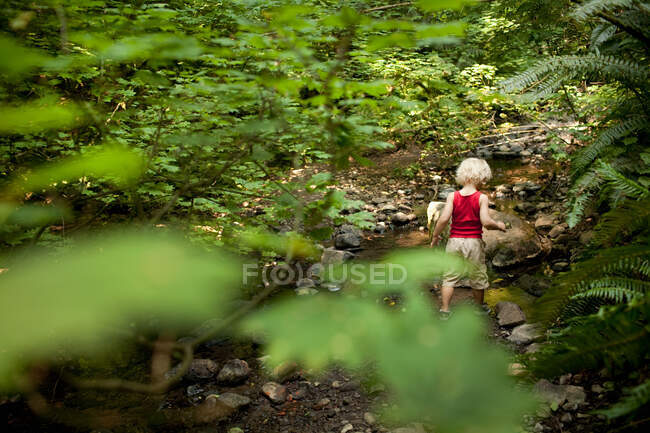Young boy walking through forest — Stock Photo