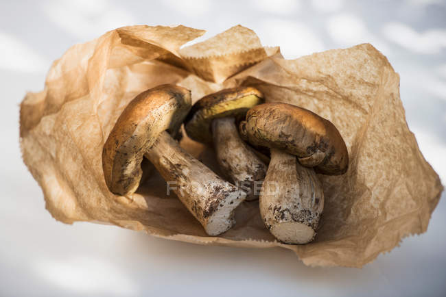Sac en papier avec champignons porcini à la lumière du soleil — Photo de stock