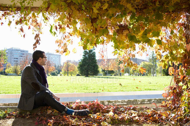 Чоловік сидить в осінньому листі в парку — стокове фото