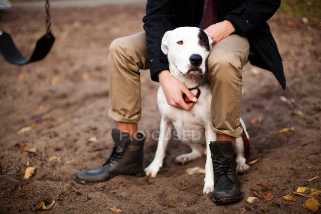Обрезанный образ человека ладонь собака на качелях — стоковое фото
