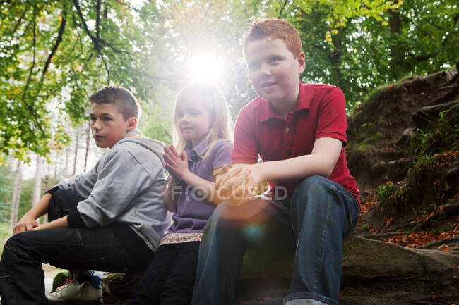 Niños descansando en un bosque - foto de stock