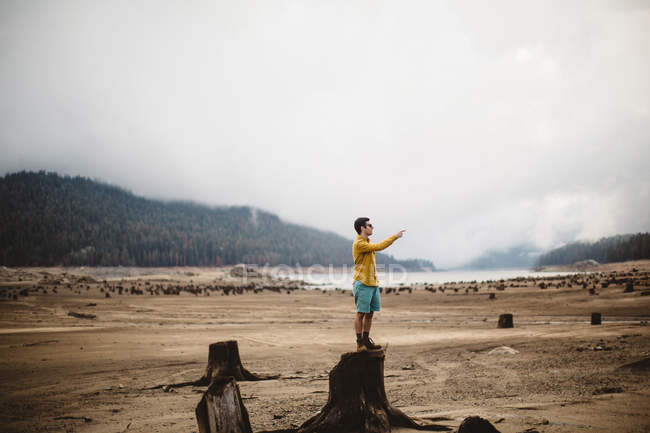Young man standing on tree stump, pointing, Huntington Lake, California, USA — Stock Photo