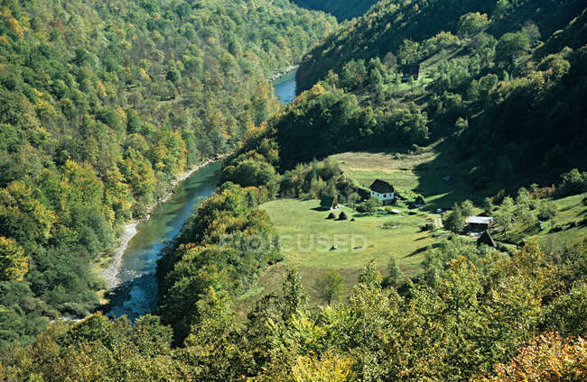 Tara río con exuberante vegetación a la luz del sol, montenegro - foto de stock