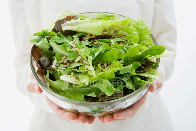 Female hands holding bowl of salad — Stock Photo