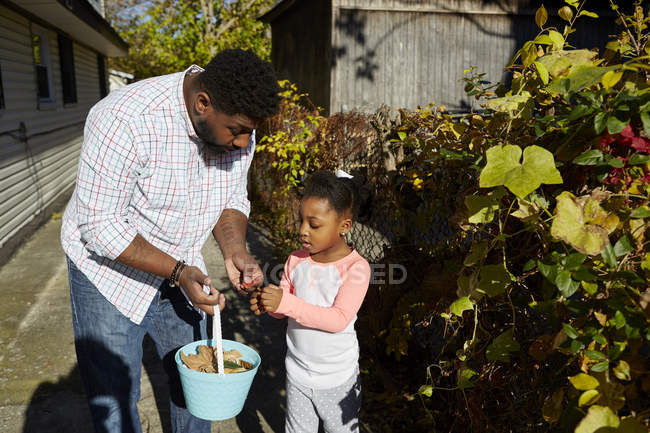 Padre e figlia che raccolgono foglie in secchio — Foto stock