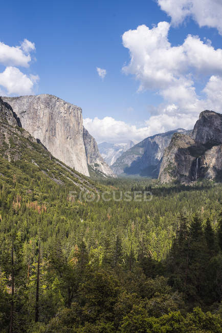 Vista de las montañas y exuberante bosque verde del valle - foto de stock