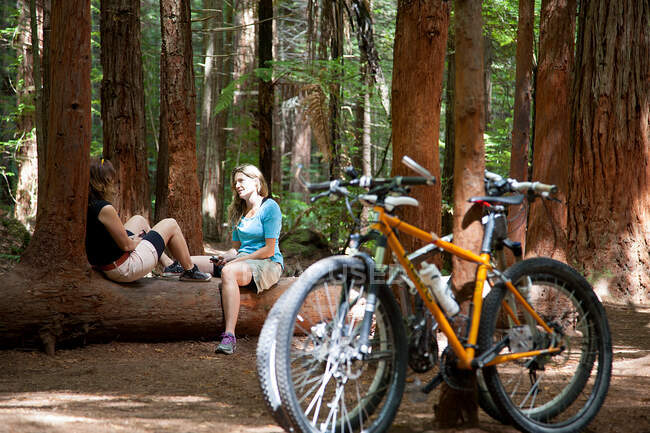 Two women mountain bikers chatting on tree trunk in forest — Stock Photo