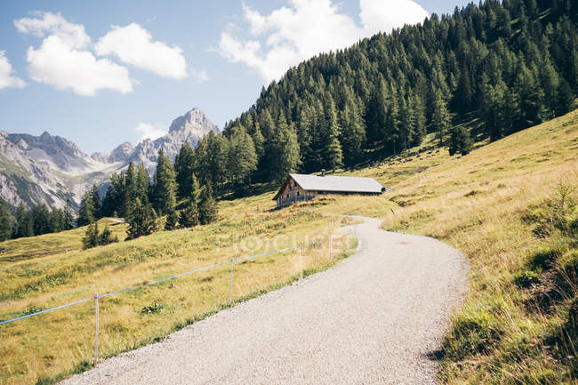 Curving road and log cabin on hillside, Buerserberg, Vorarlberg, Áustria — Fotografia de Stock