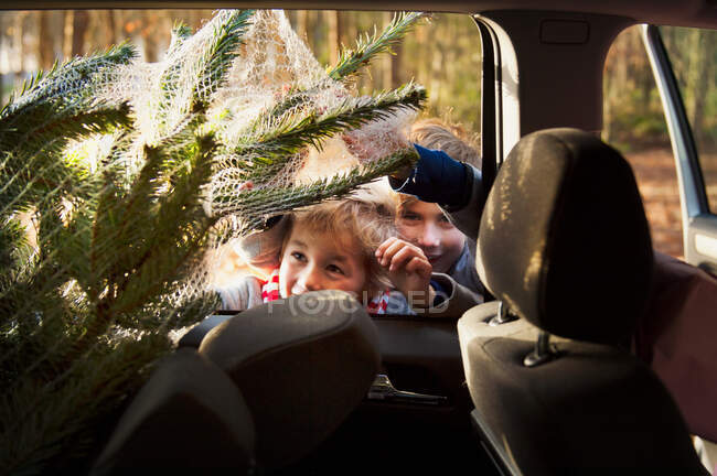 Two boys looking at Christmas tree in car — Stock Photo
