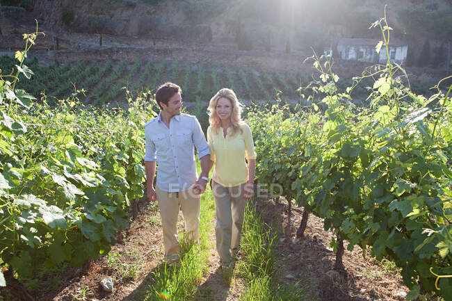 Couple in a sunlit vineyard — Stock Photo