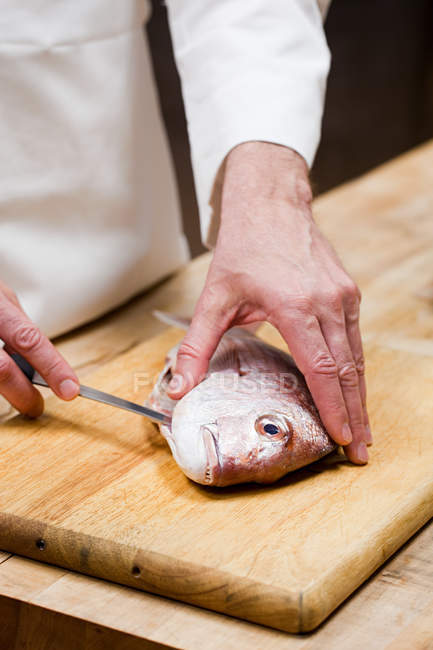 Chefe masculino preparando peixe na cozinha comercial — Fotografia de Stock