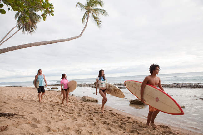 Vier junge Freunde tragen Surfbretter am Strand — Stockfoto