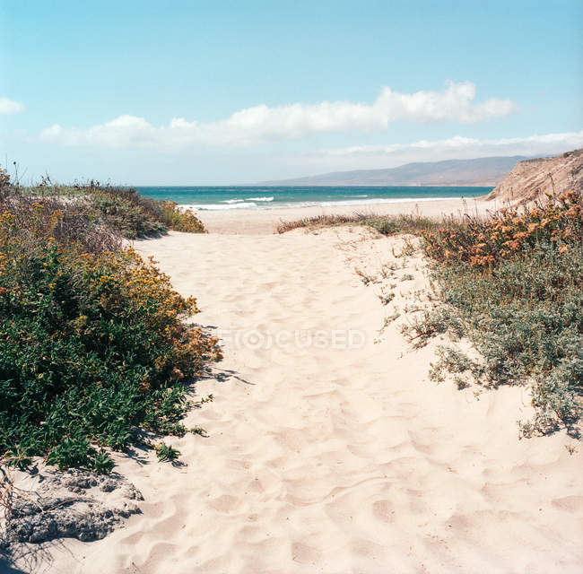Empty sandy beach in California — Stock Photo