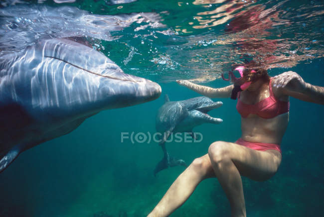 Femme nageant avec des dauphins — Photo de stock
