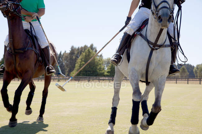 Due uomini adulti che giocano a polo — Foto stock