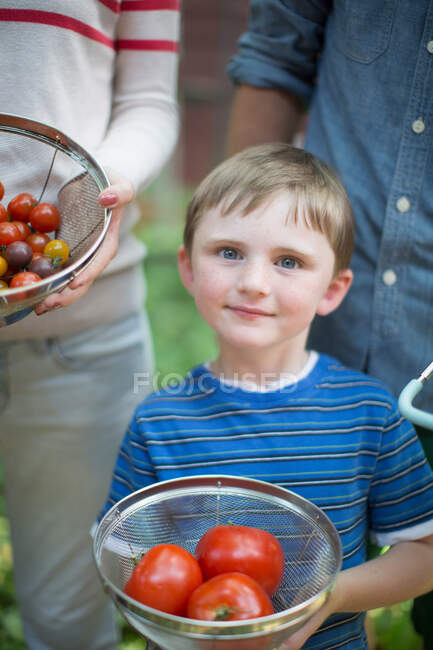 Хлопчик тримає сито з помідорами — стокове фото