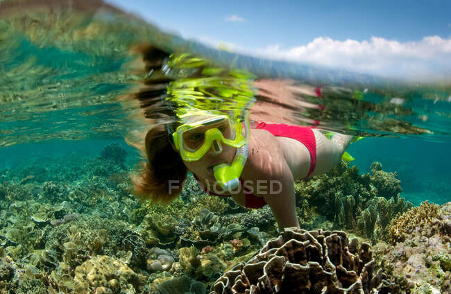 Сноркелер на коралловом рифе. — стоковое фото