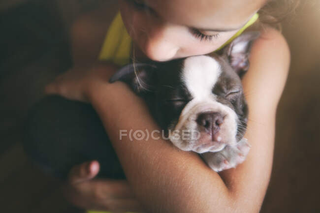 Mädchen umarmt Boston Terrier Welpe — Stockfoto