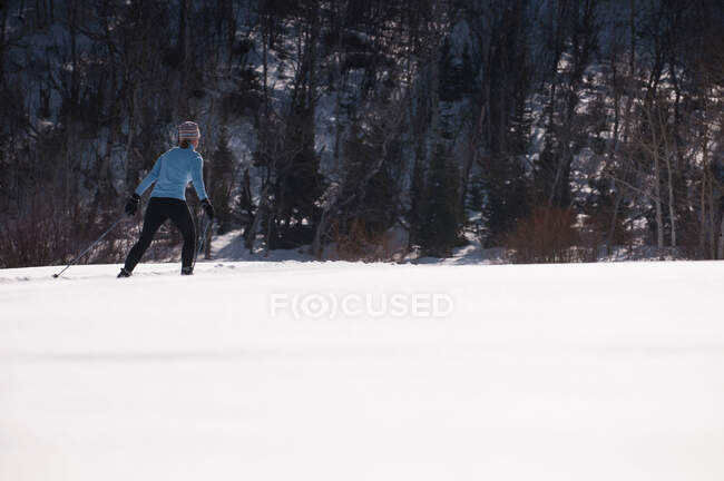 Esquiador de fondo en campo nevado - foto de stock