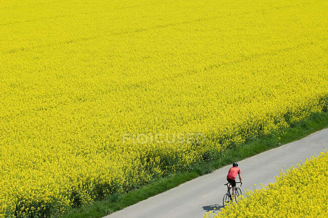 Homme vélo à travers les champs — Photo de stock