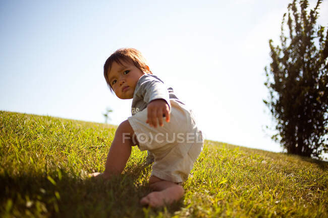 Tout-petit garçon rampant sur l'herbe — Photo de stock