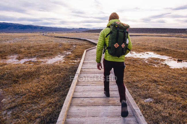Rear view of hiker on wooden walkway over wetland, Mammoth Lakes, California, USA — Stock Photo