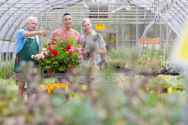 Jardineiro sênior servindo homem maduro e mulher adulta média no centro de jardim — Fotografia de Stock