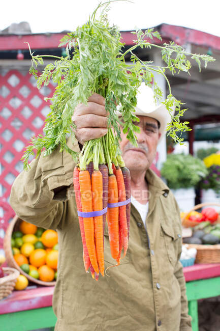 Hombre sosteniendo zanahorias en el mercado de agricultores - foto de stock