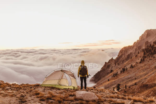 Rear view of male hiker looking out over the clouds, Mineral King, Sequoia National Park, California, USA — Stock Photo