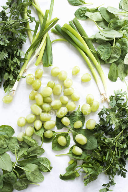 Still life of green herbs, grapes and spring onions — Stock Photo