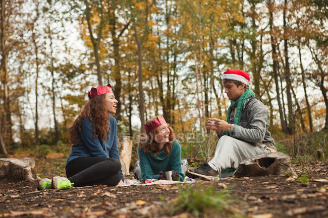 Young friends in forest wearing Santa hats and crowns — Stock Photo