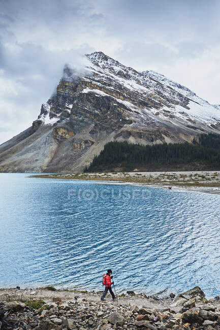 Senderismo por el sendero del lago Bow hasta el glaciar Bow en el Parque Nacional Banff, Alberta, Canadá. - foto de stock