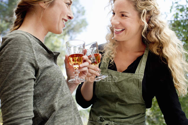 Zwei Frauen stoßen mit Weingläsern an — Stockfoto