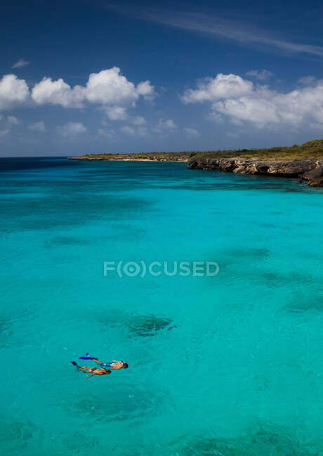 Coppia di snorkeling in acqua tropicale — Foto stock