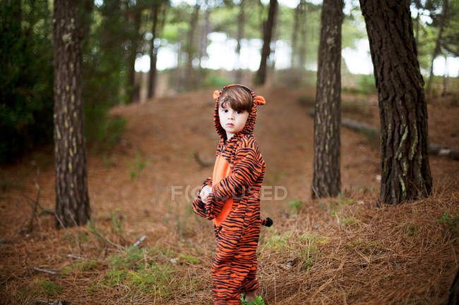 Portrait of male toddler wearing tiger suit alone in woods — Stock Photo
