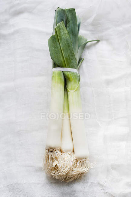 Вид зверху на свіжі органічні цибулини на білій тканині — стокове фото