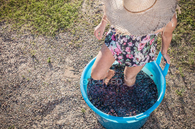 Mujer pisando uvas en cubo, Quartucciu, Cerdeña, Italia - foto de stock