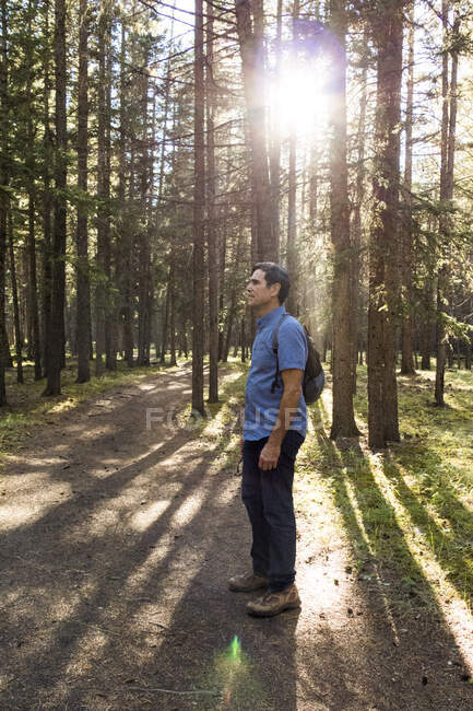 Senior escursionista di sesso maschile in piedi nella foresta illuminata dal sole, Canmore, Alberta, Canada — Foto stock