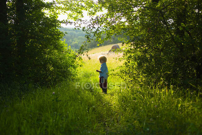 A boy standing in a forest — Stock Photo