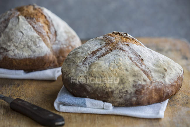 Frisch gebackene Panella-Brote — Stockfoto