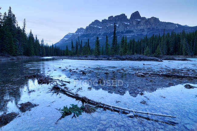 Vista montanha com rio e pinheiros — Fotografia de Stock
