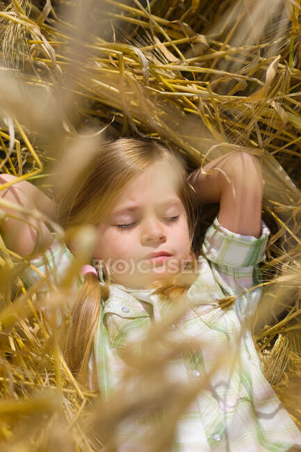 Chica durmiendo en un campo de maíz - foto de stock