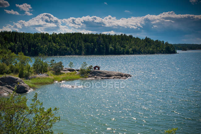 Forest and rural lake in bright sunlight — Stock Photo