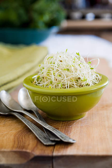Brotes de alfalfa en un tazón con cucharas en la mesa - foto de stock
