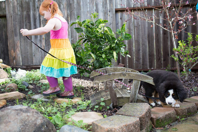 Молодая девушка пытается выгуливать собаку в саду — стоковое фото