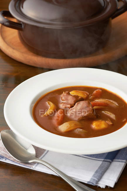 Meat and vegetable casserole in bowl — Stock Photo