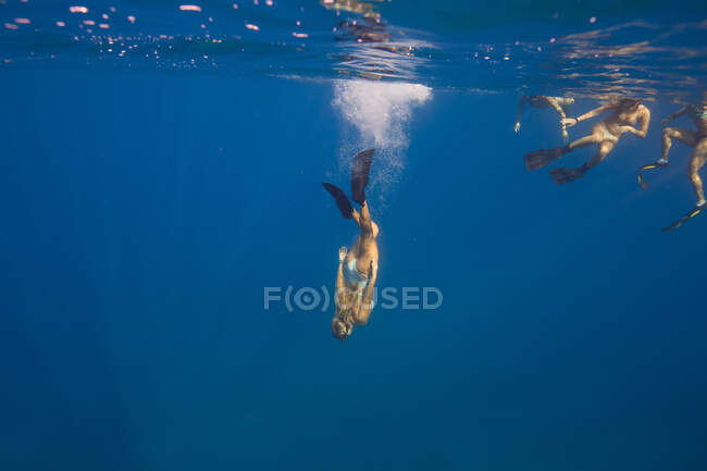 Women wearing flippers swimming underwater, Oahu, Hawaii, USA — Stock Photo